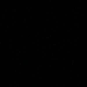 Meet your Posher, Leo